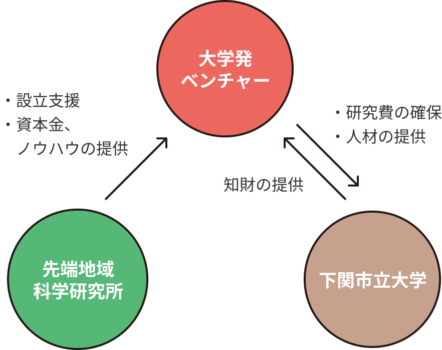 関係図。先端地域科学研究所は大学発ベンチャーに、設立支援や、資本金、ノウハウの提供をする。大学発ベンチャーは下関市立大学に、研究費の確保、人材の確保をする。下関市立大学は大学発ベンチャーに知財の提供をする。